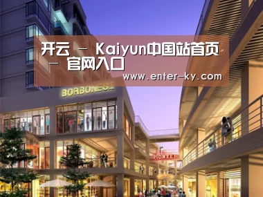 案例展示一(图1)