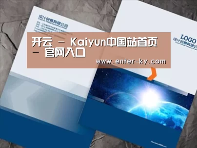 项目名称十