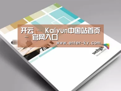 项目名称九