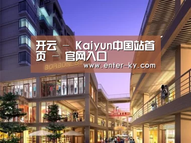 案例展示一