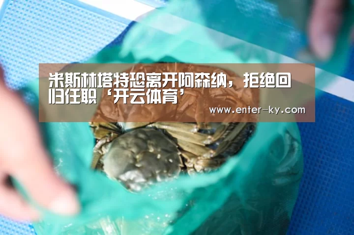 赛事数据