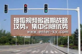 搜狐视频掀暑期战略攻势,集中引爆优势资源_开云官网(图2) 开云官网