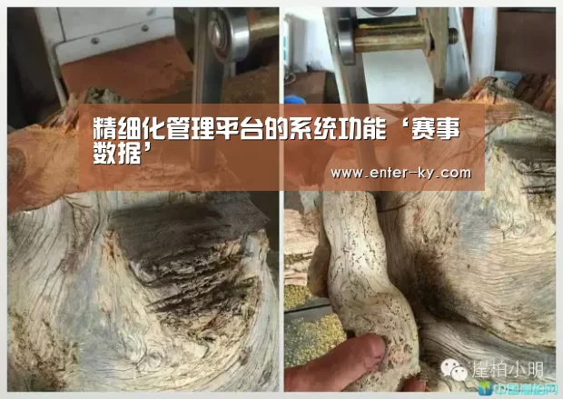 开云体育